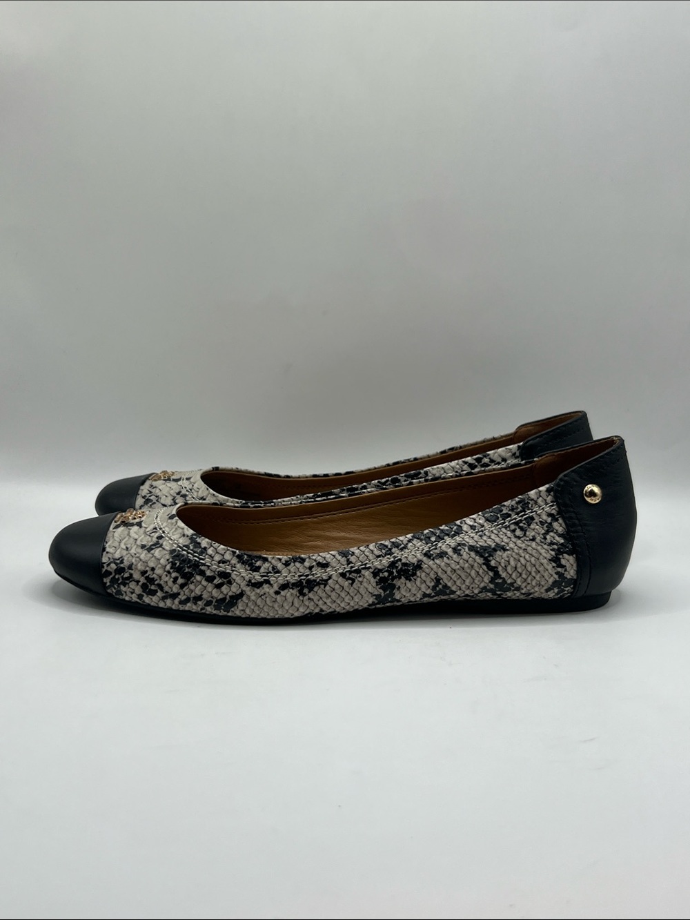 Coach Chelsea snakeprint Flat